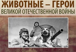 Проект «Разговоры о важном в детском саду «Календарь Великой Победы» Проект «Разговоры о важном в детском саду «Календарь Великой Победы».